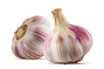 Garlics isolated on white background