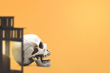 Human skull