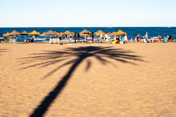 Schatten einer Palme am Strand