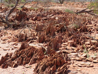 Fototapeta premium Area of slate rock formations in Western Australia