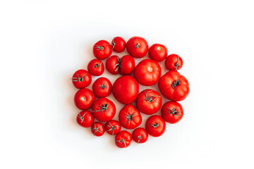 Ripe tomatoes are laid out in the shape of a circle on a white table