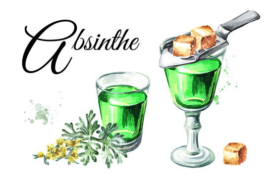 Alcoholic drink Absinthe in the glass shots, spoon, sugar and wormwood leaf. Wormwood tincture card. Hand drawn watercolor illustration isolated on white background