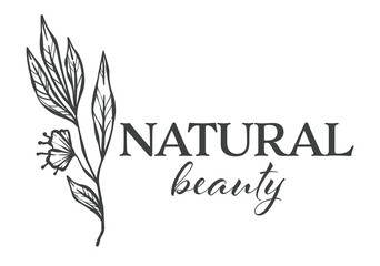 Natural beauty florist shop assortment monochrome sketch outline