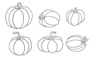 Pumpkin Pattern Vector On White.