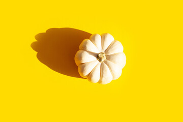Small white decorative pumpkin on yellow background. Contrasting shadows