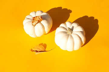 Two small decorative pumpkins on a yellow background. Contrasting shadows trend