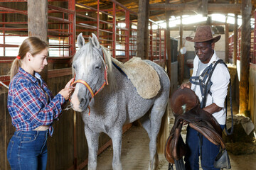 Couple of farmers man and girl harnessing horse in stable