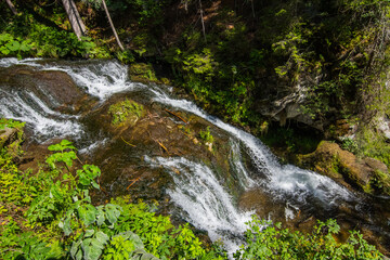 beautiful brook with steps and plants while hiking