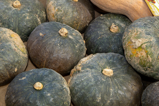 Mantua pumpkins typical products