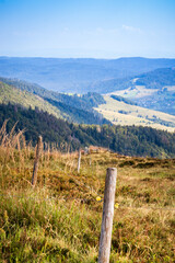 Fence post going down a hill in the Black Forest of Germany. 