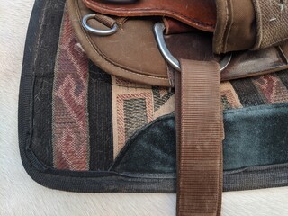 Saddle on a horse