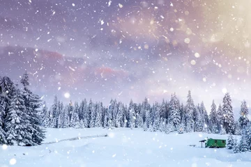 Gordijnen Majestueus winterlandschap met besneeuwde sparren. Winterse ansichtkaart. © belyaaa