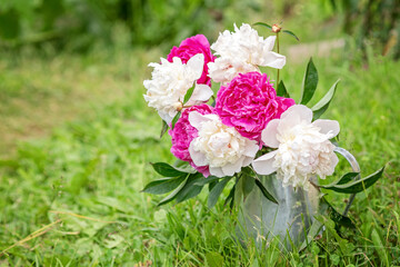 Bouquet of beautiful peonies in the garden. Pink and white peonies in a tin jug. Soft focus