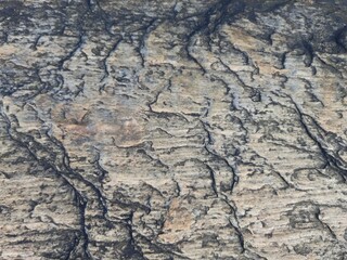 Natural background of rock in riverside india.  Stones texture and background. Rock texture. Rock fragment. Abstract background. A fragment of rock. 