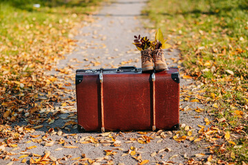 Old brown boots with leaves inside. Boots and brown vintage suitcase in autumn forest. Path with yellow leaves. Leather suitcase under the tree. Autumn nature, yellow and red foliage.