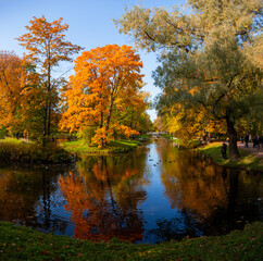 Autumn landscape, view of the lake in the old Park. Tsarskoe Selo, Saint Petersburg.