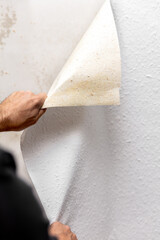 soaked wallpaper is peeled off the wall by a craftsman