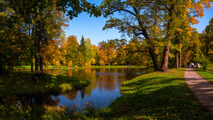 Autumn landscape, view of the lake in the old Park. Tsarskoe Selo, Saint Petersburg.