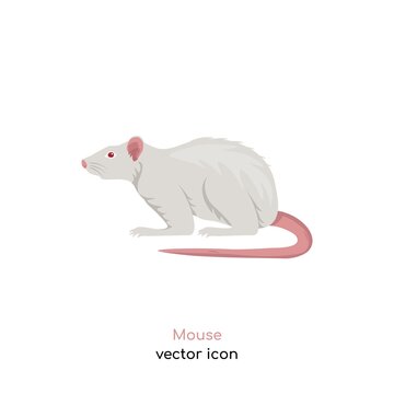 Little mouse image