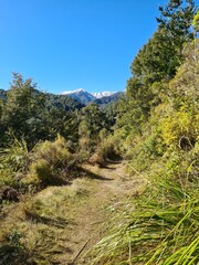 river in the mountains