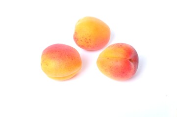 Apricot on white background