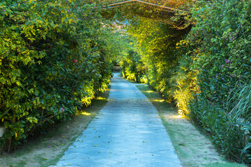Garden path in resort with warm light and trees on side at evening, Garden Decoration.