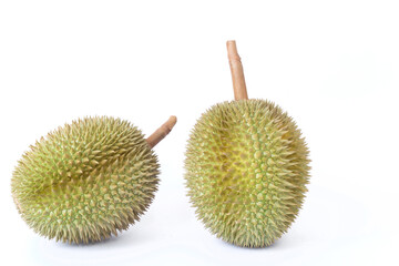 Durian as a king of fruit in Thailand.  It has strong odor and thorn-covered rind.