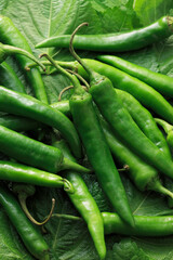 ゴマの葉と青唐辛子