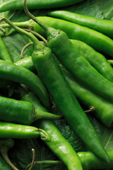 ゴマの葉と青唐辛子