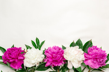 Naklejka na ściany i meble Pink and white peonies on white background. Top view, copy space