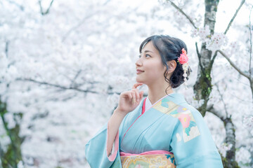 着物の女性　和服　京都観光