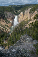 lower falls of the yellowstone national park, wyoming, usa