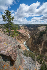 grand canyon of the yellowston from the north rim, wyoming, usa