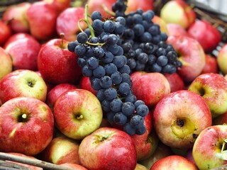 red apples and purple grapes harvest
