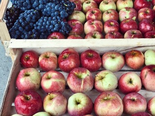 red apples and purple grapes harvest