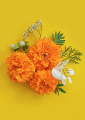 orange flowers on a colored background frame