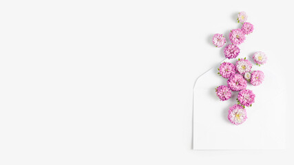 panoramic banner birthday. beautiful pink flowers and a white envelope. flat lay, copy space
