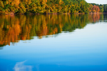 bright colorful autumn forest landscape, trees near river and blue sky