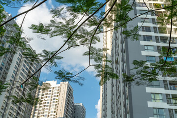 Plakat Modern condominium building with green leaves on foreground. Green city concept