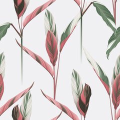 Foliage seamless pattern, heliconia Ctenanthe oppenheimiana plant on bright grey