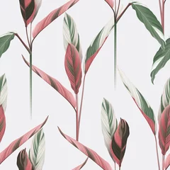Gordijnen Foliage seamless pattern, heliconia Ctenanthe oppenheimiana plant on bright grey © momosama
