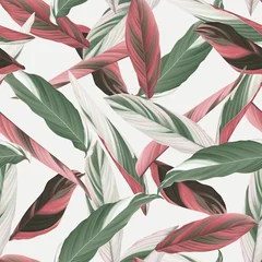 Muurstickers Gebladerte naadloos patroon, heliconia Ctenanthe oppenheimiana plant op helder grijs © momosama