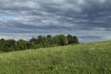 Summer landscape with green meadow and cloudy sky