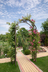 green rose arch in the garden