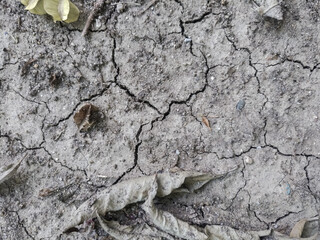 Arid soil with dried leaf background for global warming effect 
