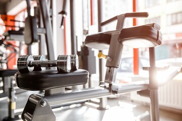 Two dumbbells are lying on a training apparatus