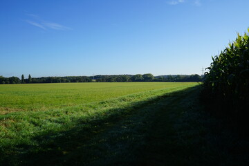 road in the countryside