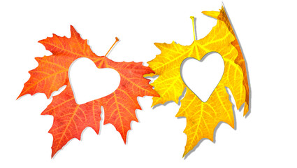 autumn leaves with heart on wooden background love