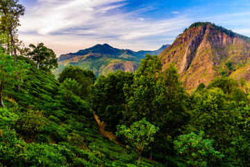  A quiet morning in Sri Lanka