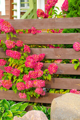 Landscape and part of the hedge in the cottage village. Autumn leaf fall season, gardening. Vertical photo.
